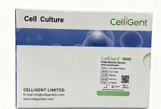 <b><font color='#333333'>heat inactivated Fetal Bovine Serum（One Shot）</font></b>
