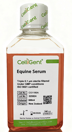 <b><font color='#333333'>Equine Serum</font></b>