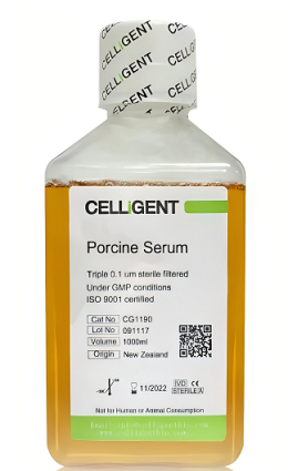 <b><font color='#333333'>Porcine Serum</font></b>