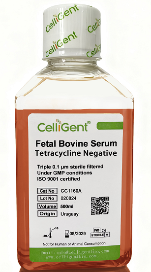 <b><font color='#333333'>Tetracycline Negative,Fetal Bovine Serum</font></b>