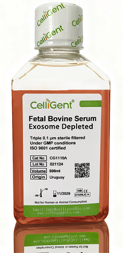 <font color='#333333'>Fetal Bovine Serum Exosome Depleted</font>